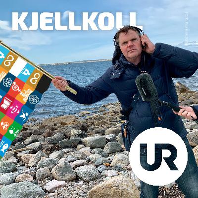 Mål 17: genomförande och globalt partnerskap