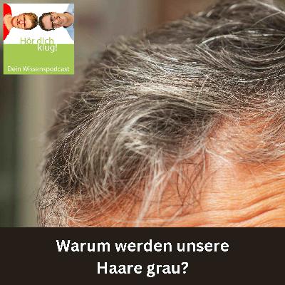 Warum werden unsere Haare grau? Warum werden unsere Haare grau?