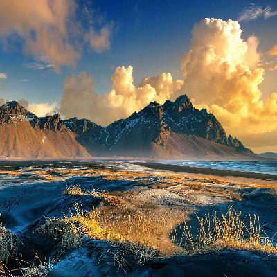 Wild new stories: Weaving New Myths for a New Way of Being with Ally Kingston of Agency for Nature