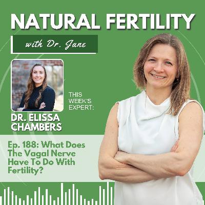 Ep. 188: The Vagus Nerve, Fertility & The Fight-or-Flight Trap: Why Slowing Down Heals