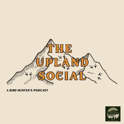Episode 18: Vizslas, Birds, and Meaningful Photography with Rich Wong