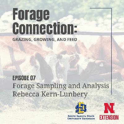 Forage Sampling and Analysis: Rebecca Kern-Lunbery Forage Sampling and Analysis: Rebecca Kern-Lunbery