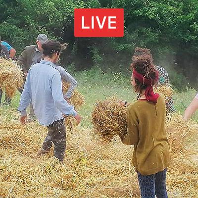 L'orto naturale con Kutluhan Ödzemir