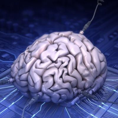 Los Orígenes del Cerebro