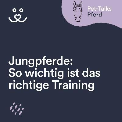 Jungpferde ausbilden: So wichtig ist das richtige Training