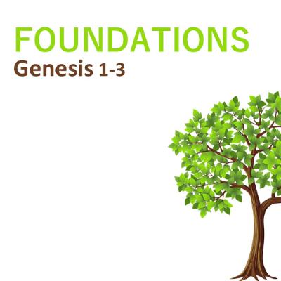 [Foundations]: Made in the image of God