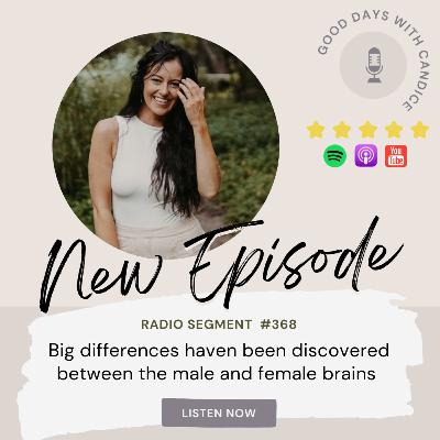 Big differences have been discovered between the male and female brains Big differences have been discovered between the male and female brains