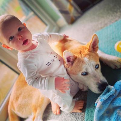 Beneficios de tener una mascota en el hogar