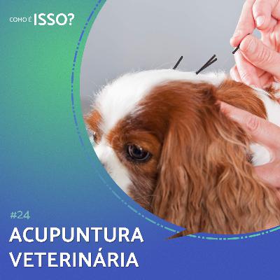 Acupuntura Veterinária