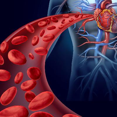 How to Lower High Hematocrit Caused by Testosterone Replacement Therapy (TRT) How to Lower High Hematocrit Caused by Testosterone Replacement Therapy (TRT)