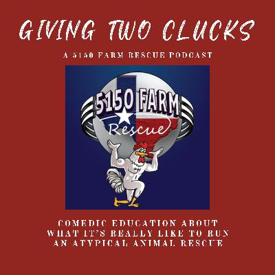 Ep 4: Beautiful Adventures