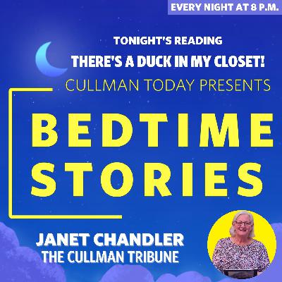 Bedtime Stories – Janet Chandler reads There's A Duck In My Closet! Bedtime Stories – Janet Chandler reads There's A Duck In My Closet!