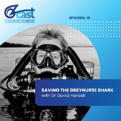 Saving the Greynurse Shark Saving the Greynurse Shark
