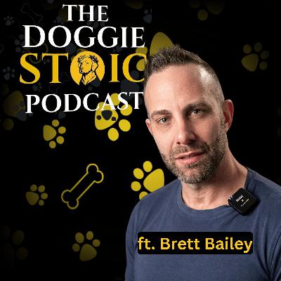 Master the Concrete Jungle: Urban Dog Training Secrets with Brett Bailey Master the Concrete Jungle: Urban Dog Training Secrets with Brett Bailey