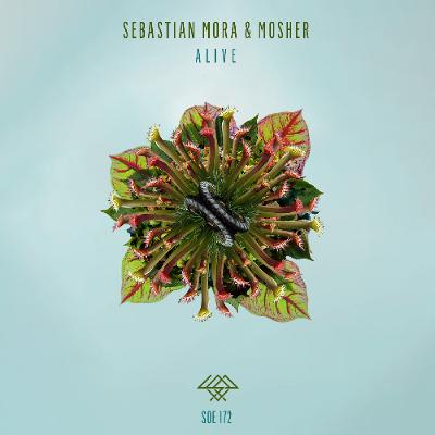 PREMIERE: Mosher, Sebastian Mora - Alive (Original Mix) [Sounds Of Earth]