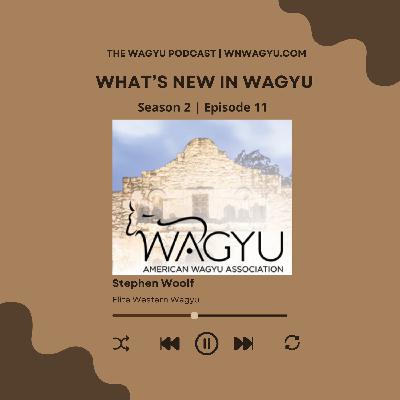 Season 2: Episode 11