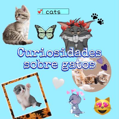 Curiosidades sobre gatos