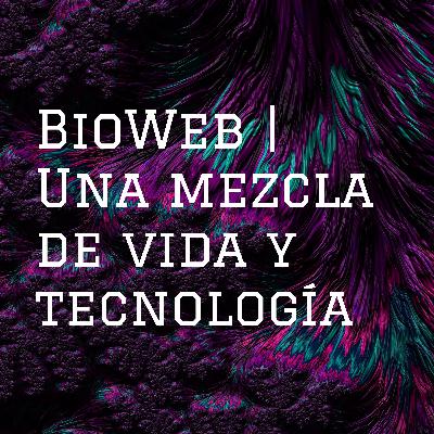 E05 (31 - Jul - 2020)