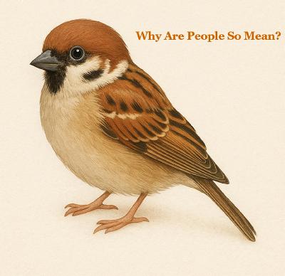 #15 WHY DO PEOPLE HAVE TO BE SO MEAN?