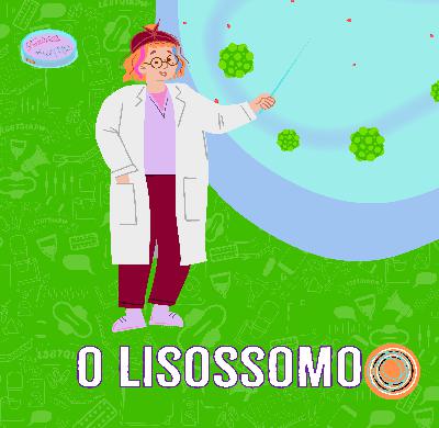 O Lisossomo