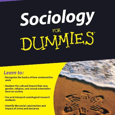 Sociology For Dummies: Understanding Society — How Social Systems Shape Human Behavior