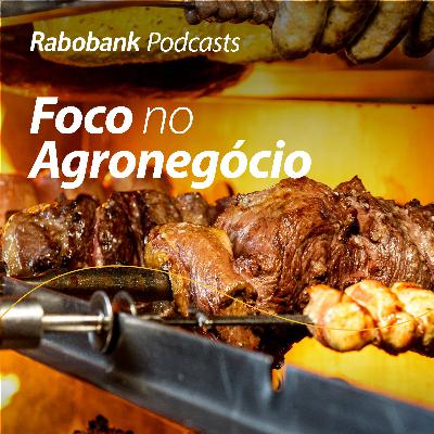 Olho no Mercado – Exportações de carnes seguem recordes em Julho 2025