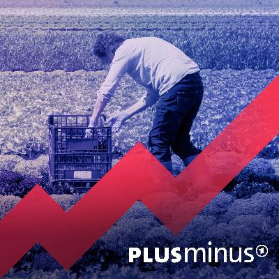 Mindestlohn – verkraftet die Wirtschaft 15 Euro?