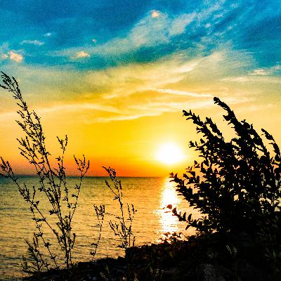 A Sermon From Martina A Sermon From Martina