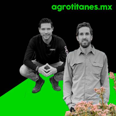 ¿Mejor producción? DIDIHu