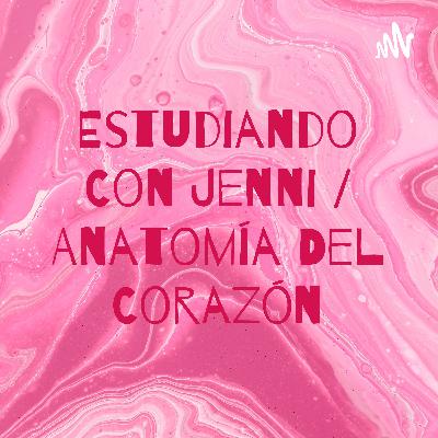 Estudiando con Jenni- Anatomía del corazón