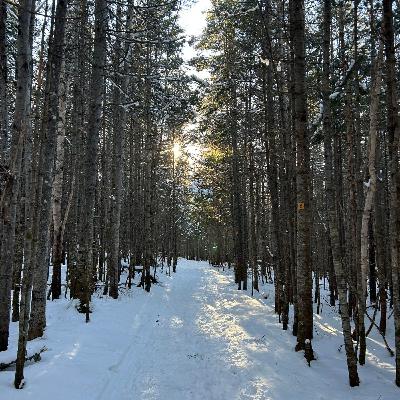 La fin d’un cycle La fin d’un cycle