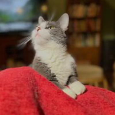 Episode 3034 CWSA 12/02/25 Episode 3034 CWSA 12/02/25