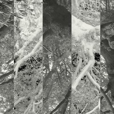 susan pui san lok - Seven Sisters (2019) susan pui san lok - Seven Sisters (2019)