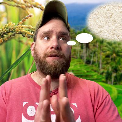 RICE DIET UPDATE after doing it for 3 WEEKS!!! RICE DIET UPDATE after doing it for 3 WEEKS!!!