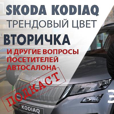 Автомобили. SKODA KODIAQ. Вопросы покупателя. Какой цвет автомобиля лучше. Вторичный рынок. Мнение эксперта Автомобили. SKODA KODIAQ. Вопросы покупателя. Какой цвет автомобиля лучше. Вторичный рынок. Мнение эксперта
