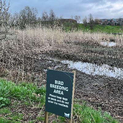 A springtime stroll in Stratford on Queen Elizabeth Olympic Park