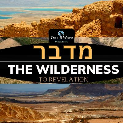 The Wilderness מדבר To Revelation | Todd Aaron