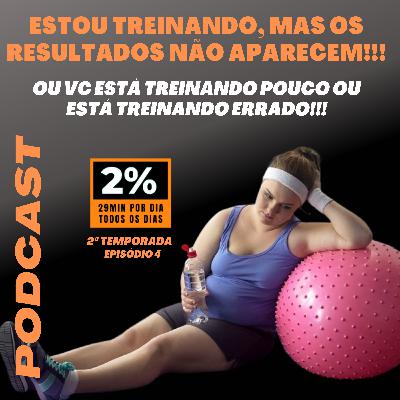 🤔 Estou treinando, mas os resultados não aparecem!!! 😔⚠️