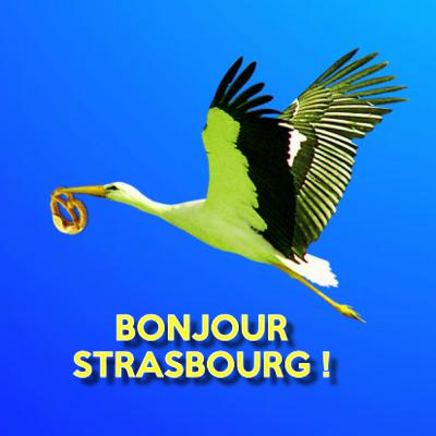 BONJOUR STRASBOURG - Episode 12