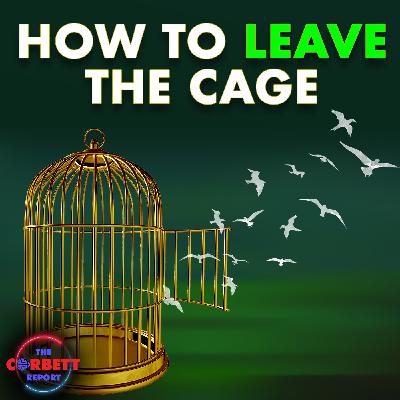 How to Leave the Cage - #SolutionsWatch