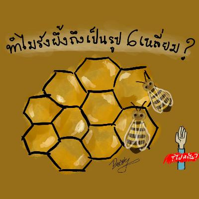 KFW003 ทำไมรังผึ้งถึงเป็นรูป 6 เหลี่ยม? 🐝 KFW003 ทำไมรังผึ้งถึงเป็นรูป 6 เหลี่ยม? 🐝