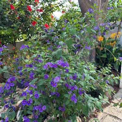 Fashioning an innovation revolution Fashioning an innovation revolution