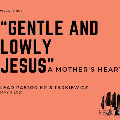 Healthy: Week 3 - Gentle and Lowly Jesus: A Mother's Heart