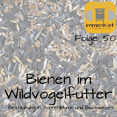 Immenkist - Folge 50: Bienen im Wildvogelfutter - Bestäuber in Sonnenblume und Buchweizen