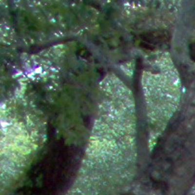 Demolishing Strongholds - Releasing Revival Demolishing Strongholds - Releasing Revival