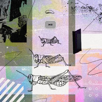 Pausing Insect Activity