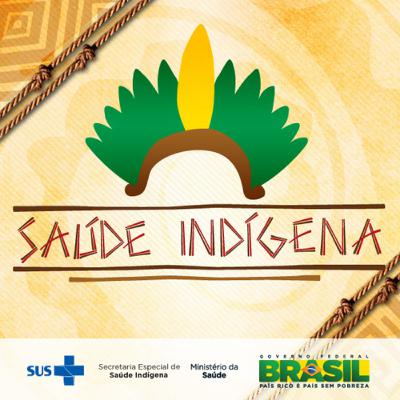 Saúde e realidade indígena no Brasil .