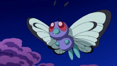 Butterfree | Stats, Moves, Evolution & Locations | The Pokemon Pokedex Podcast With Rhys & Felicity
