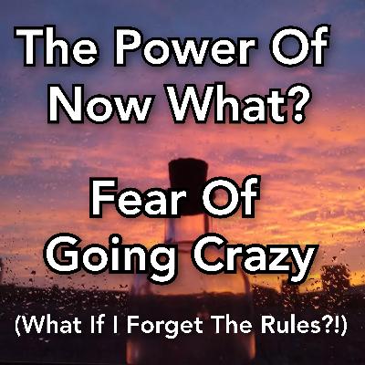 The Power Of Now What? Overcoming Awakening Problems Ep. 15: Fear Of Going Crazy (What If I Forget The Rules?)
