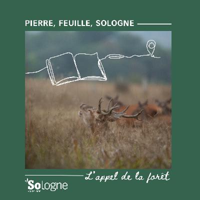 Episode 4 - L'appel de la forêt